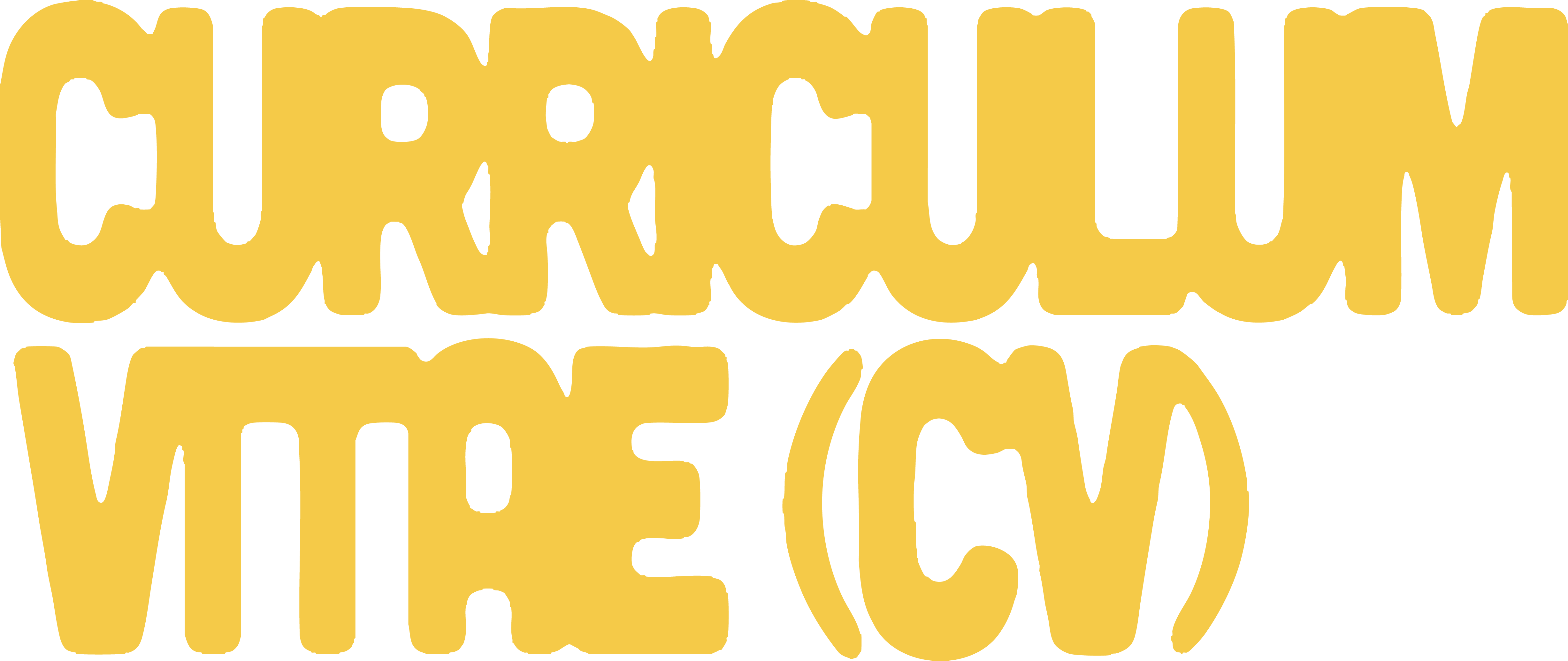 Curriculum Vitae Logo